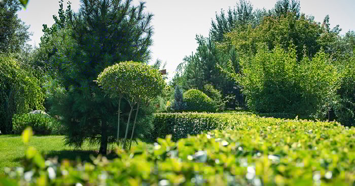 The Biggest Landscaping Trends of 2020