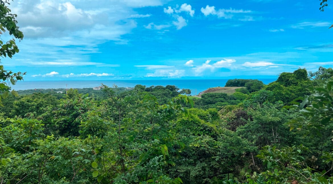 Jungle Vista Retreat – Modern Tropical Hideaway with Unparalleled Ocean Views at Senderos