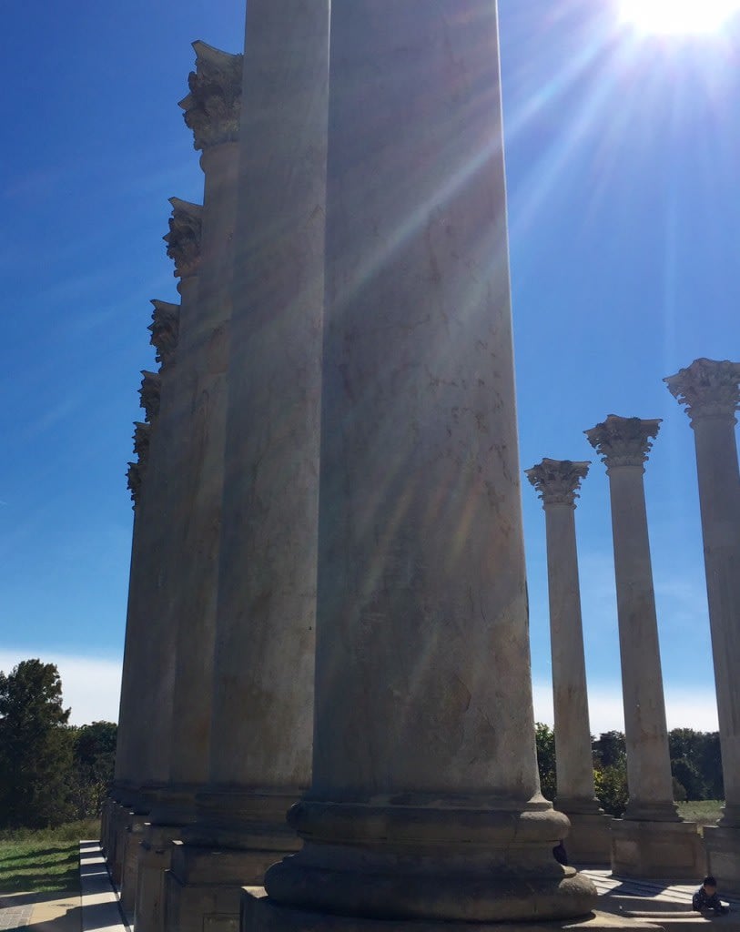 Things to Do | Visit the National Arboretum