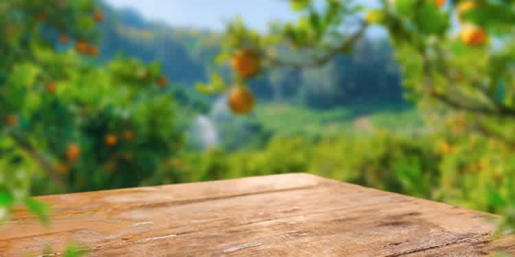 Beyond the Closing Table