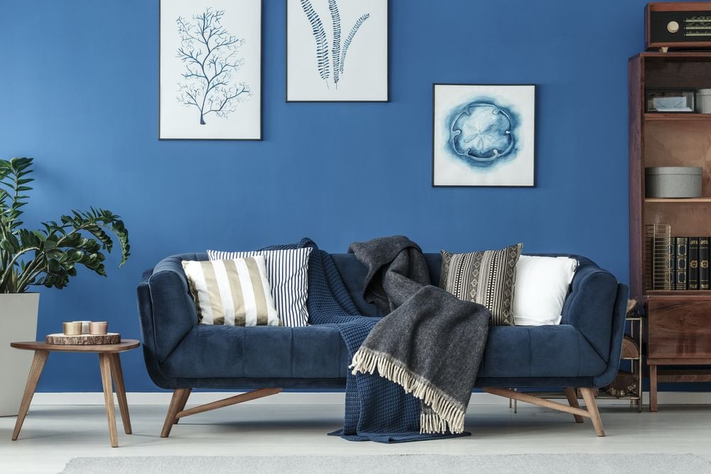 Living room with a deep blue sofa, layered throws, botanical prints, and a leafy plant.