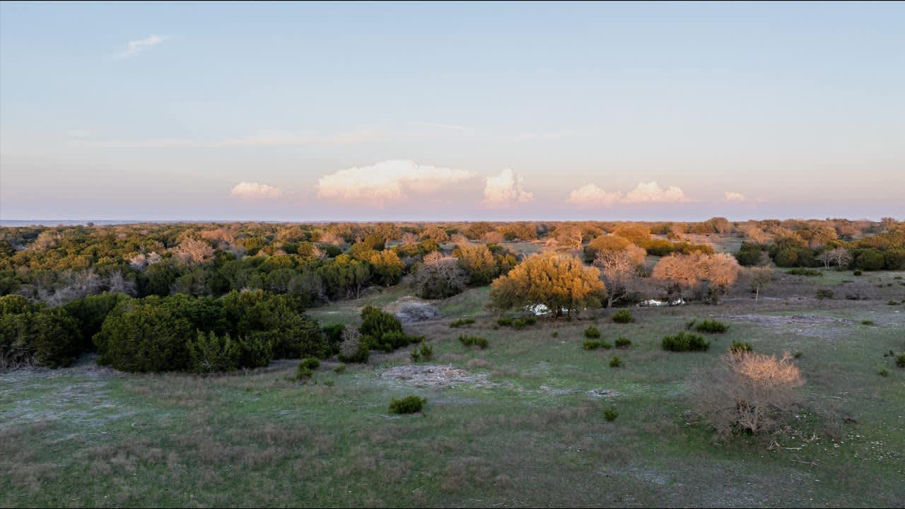 COBB PROPERTIES | Bosque County