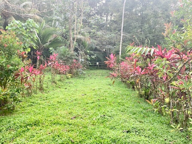 Waterfall River Luxury Home, Dominical, Puntarenas