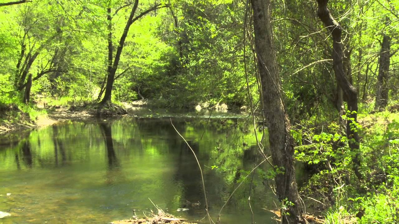 365 Acres with Creek for Sale in Chatham County