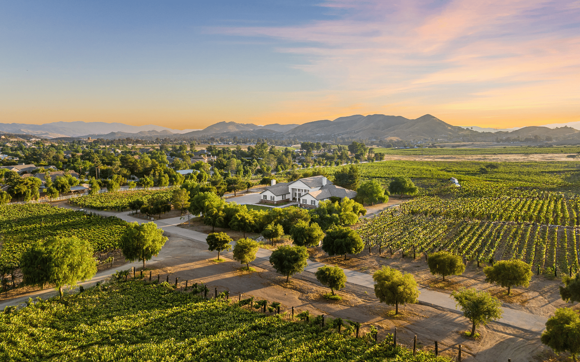 Agua Dulce Winery: Los Angeles County’s Largest Premier Winery & Vineyard