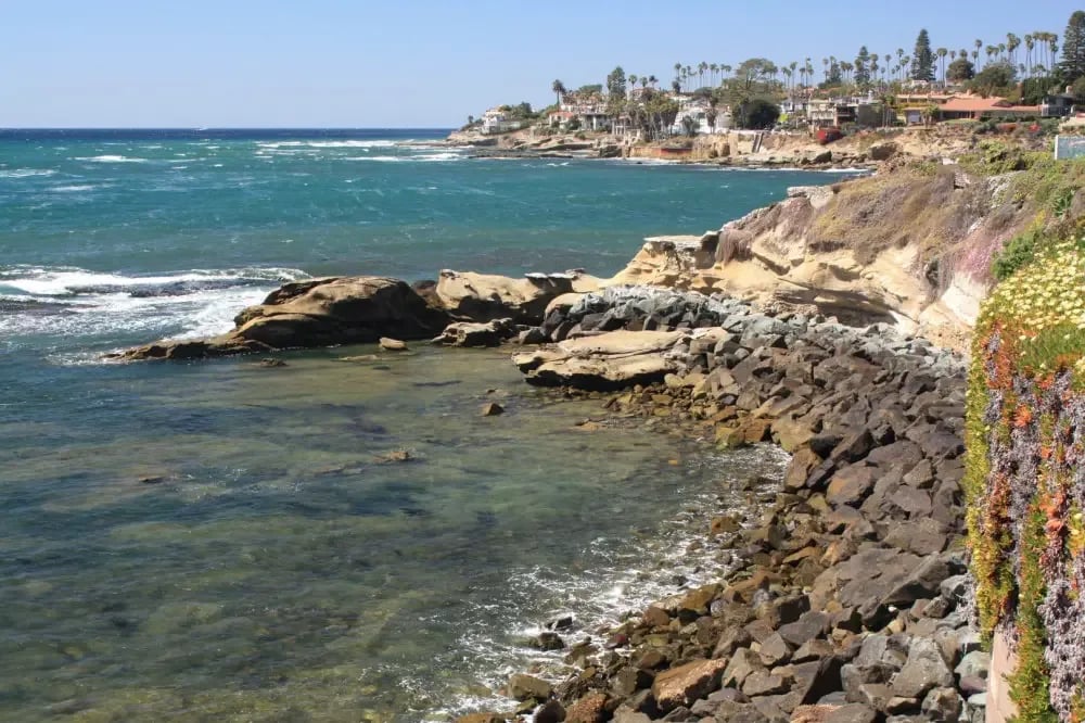 An ocean photo taken in Bird Rock with palm tree lines 