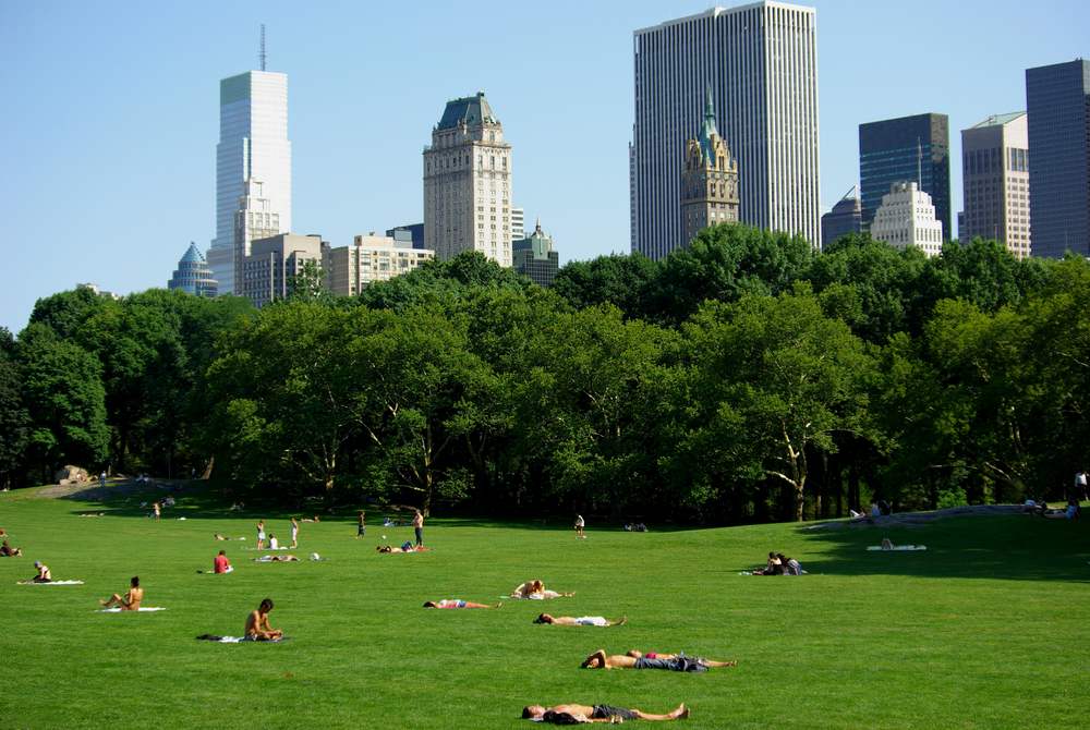 The Best Picnic Spots in Manhattan