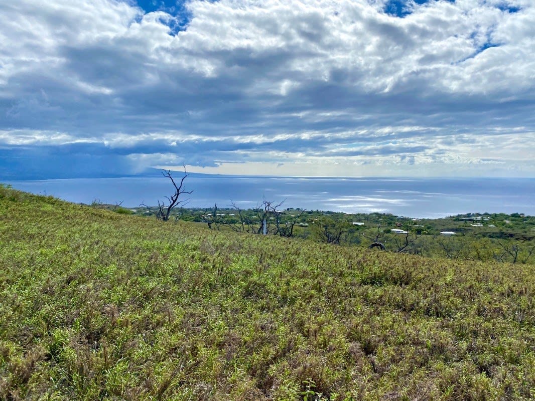 Kohala Ranch Lot #840