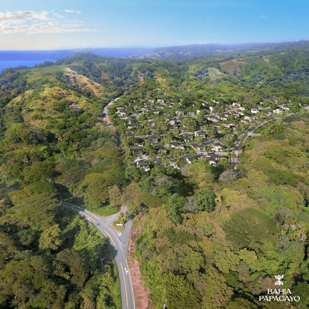 Welcome to Bahía Papagayo | A New Era of Coastal Living!