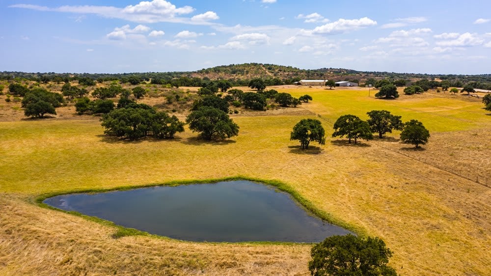 Dog Tick Ranch