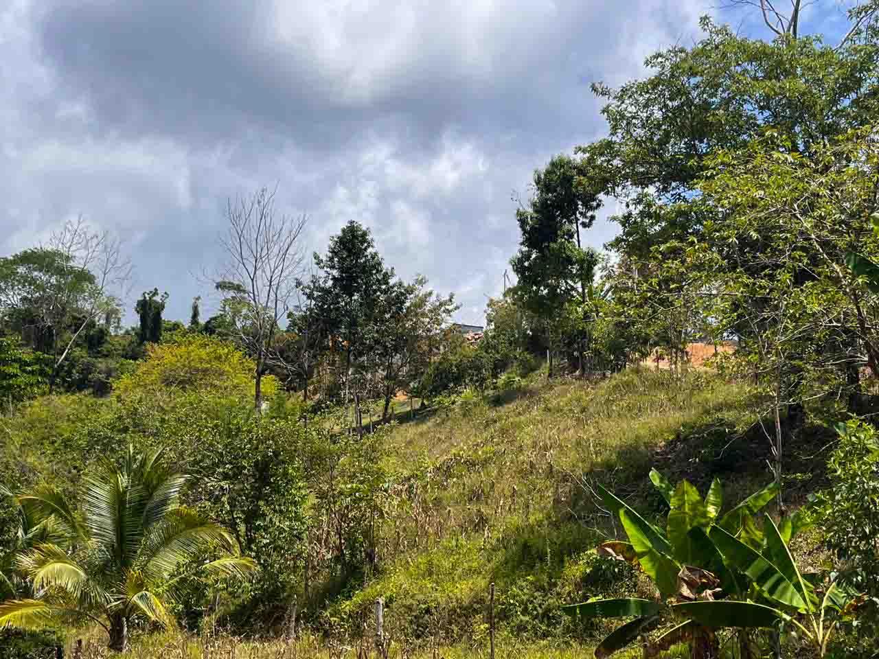 Lot Nestled In Charming Neighborhood With Stunning Mountain Views