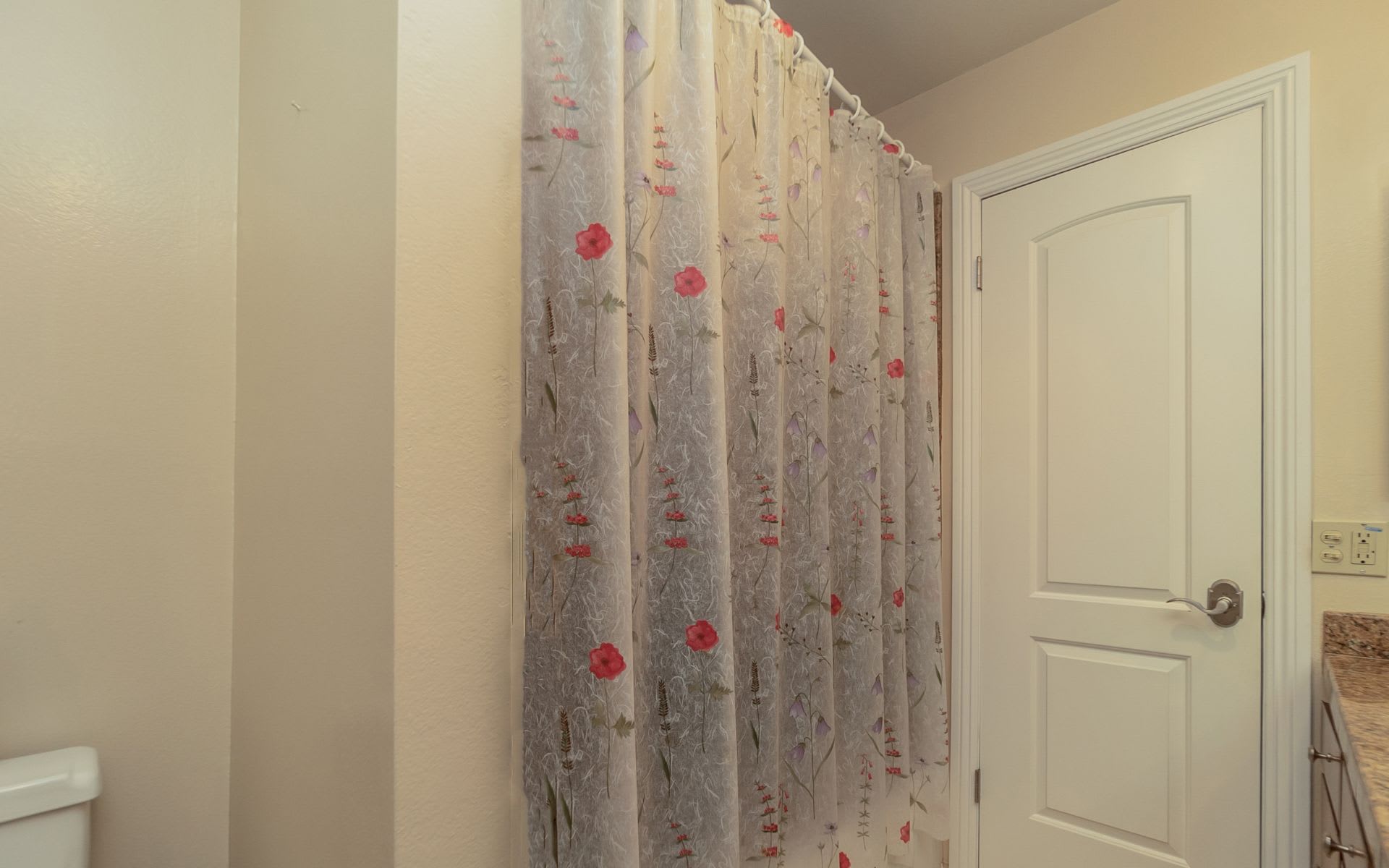 Bathroom with a floral shower curtain beside a white paneled door and granite vanity.
