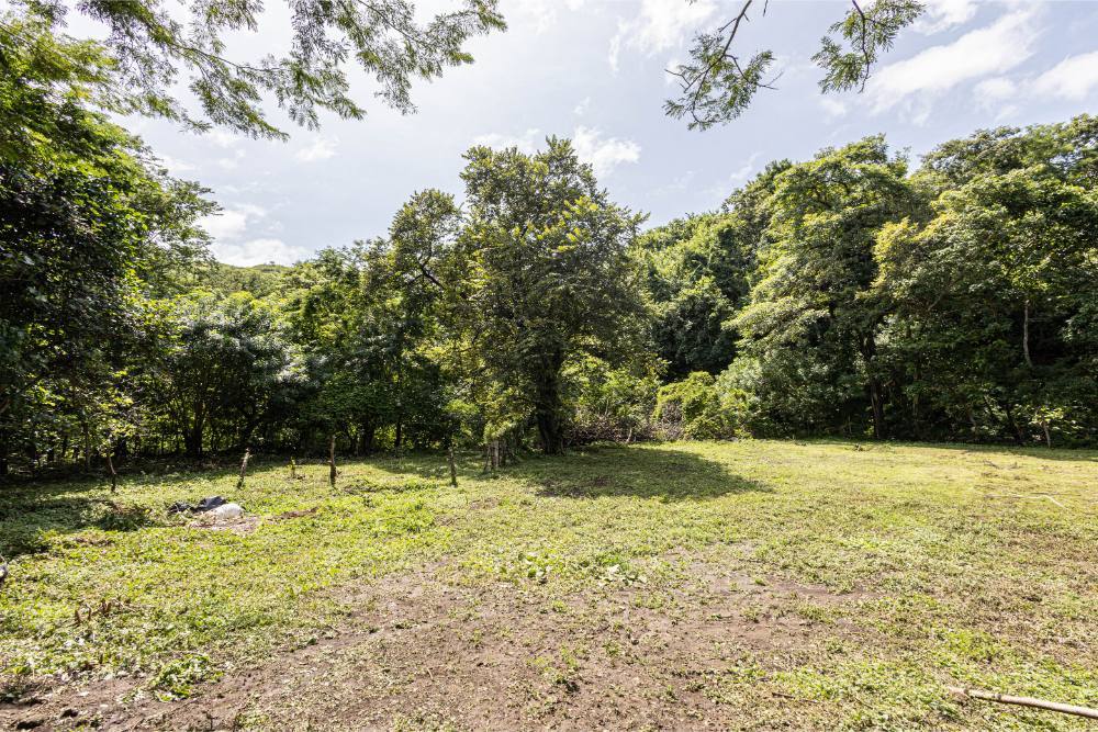 Expansive Creekfront Development Land, Papagayo, Guanacaste