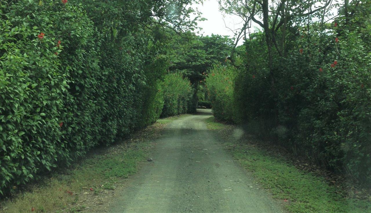 Pacific Frontage Rainforest Estate, Osa, Puntarenas