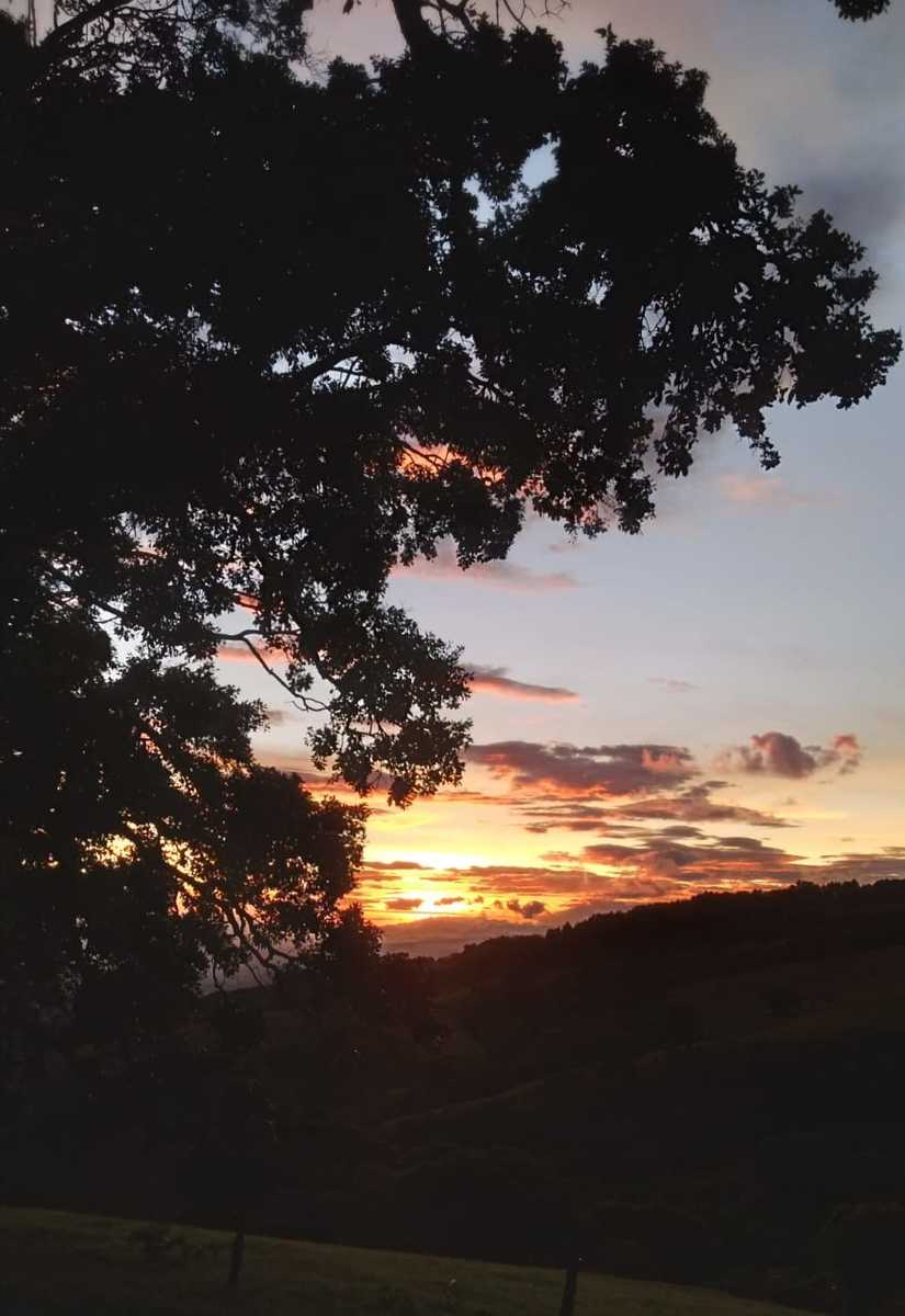 Vast Mountain Farm Acreage, Heredia