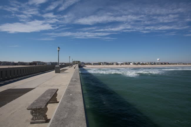 Bee’s Knees: Stuff We Dig!