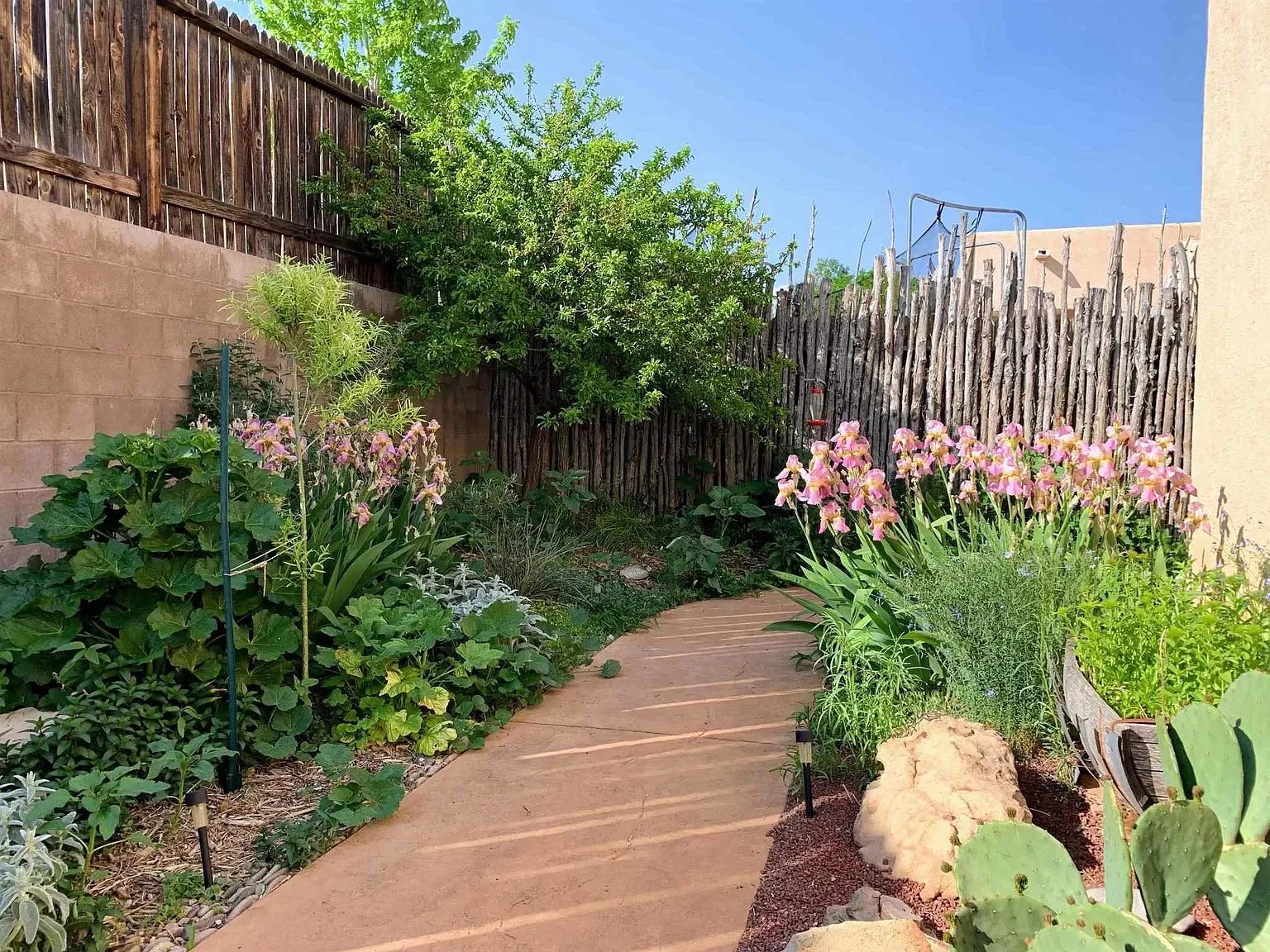 6956 Golden Mesa