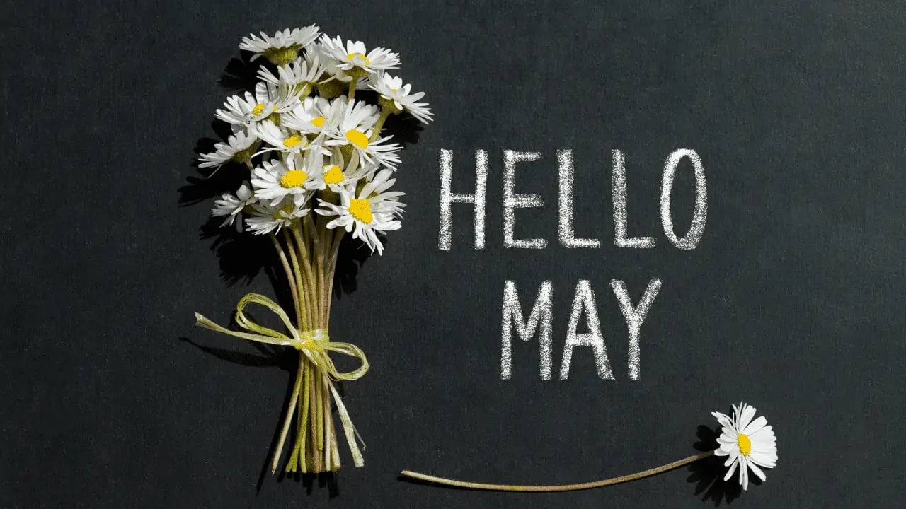 A bouquet of daisies with the text "HELLO MAY" written on a blackboard. This image symbolizes the month of May and the arrival of spring.