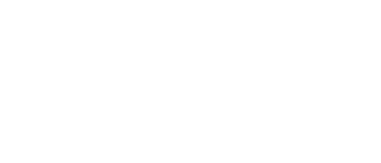 A light-colored logo of real estate team RE/MAX Destiny.