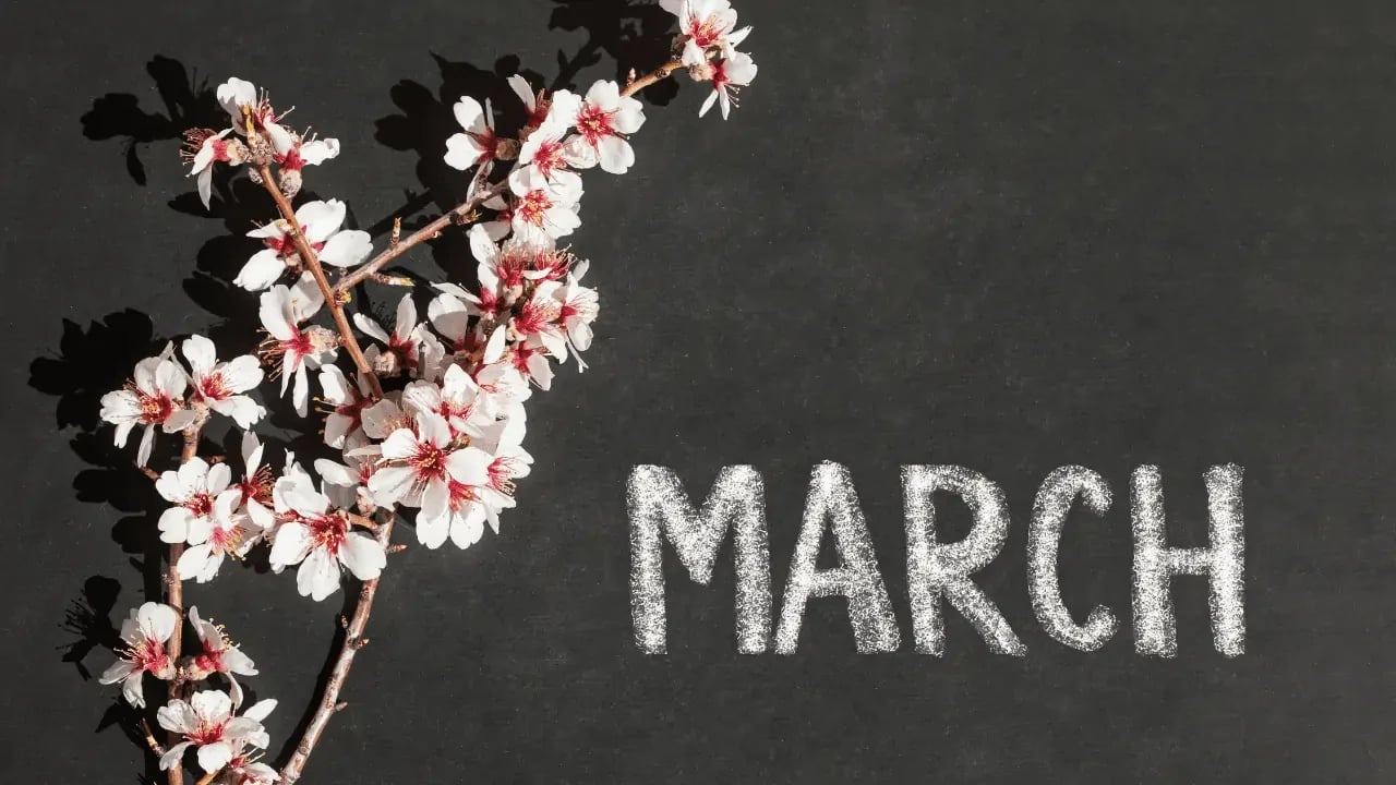 March 2021 Real Estate Market Update