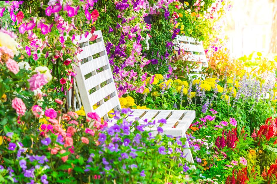 Beat the Heat: How to Keep Your Garden Thriving in the Summer