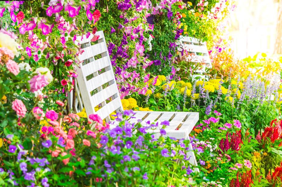 Beat the Heat: How to Keep Your Garden Thriving in the Summer