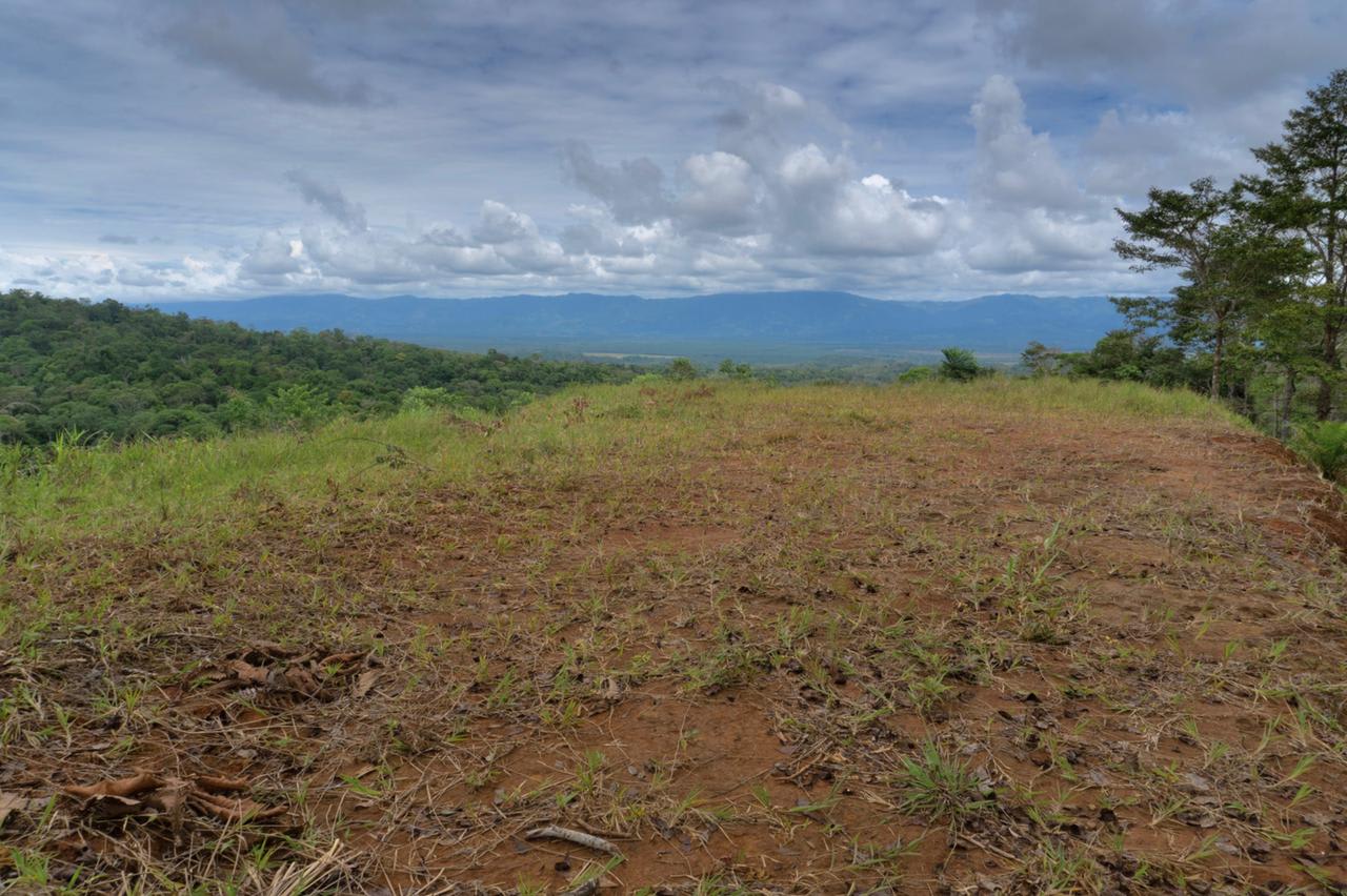 Sierpe Sunset and Jungle Views, 10 Acre Property, OSA!