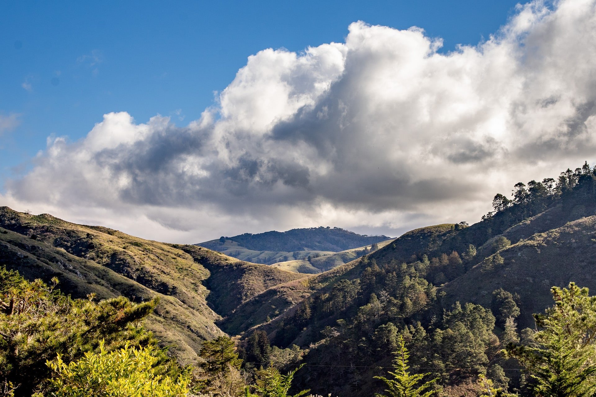 Stunning Peninsula Views - 309 Mt Devon Road