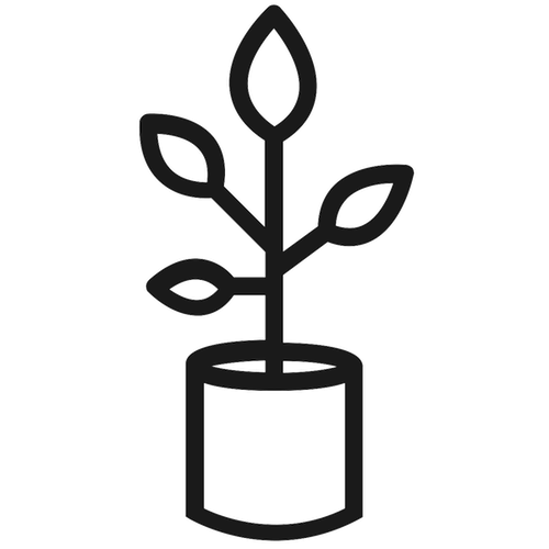 Potted plant