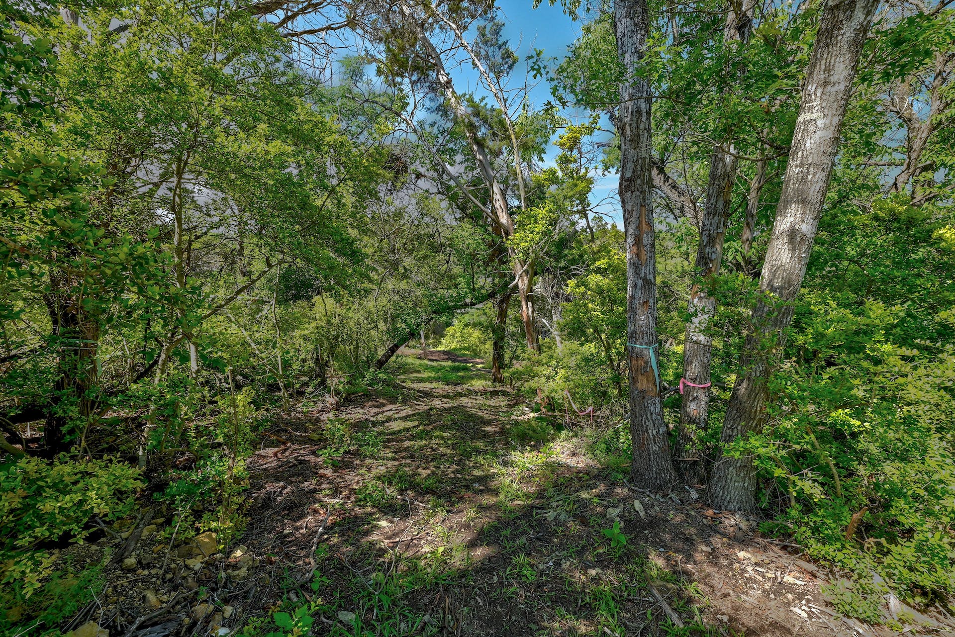 1217 Yaupon Valley Road