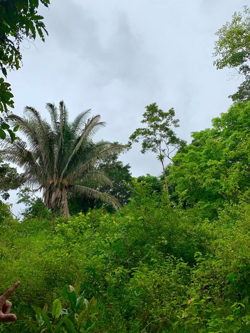 Triple Waterfall Ocean View Land, Dominical, Puntarenas
