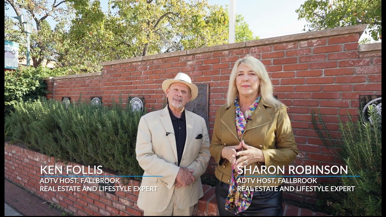 Ken Follis & Sharon Robinson American Dream TV Segment 5