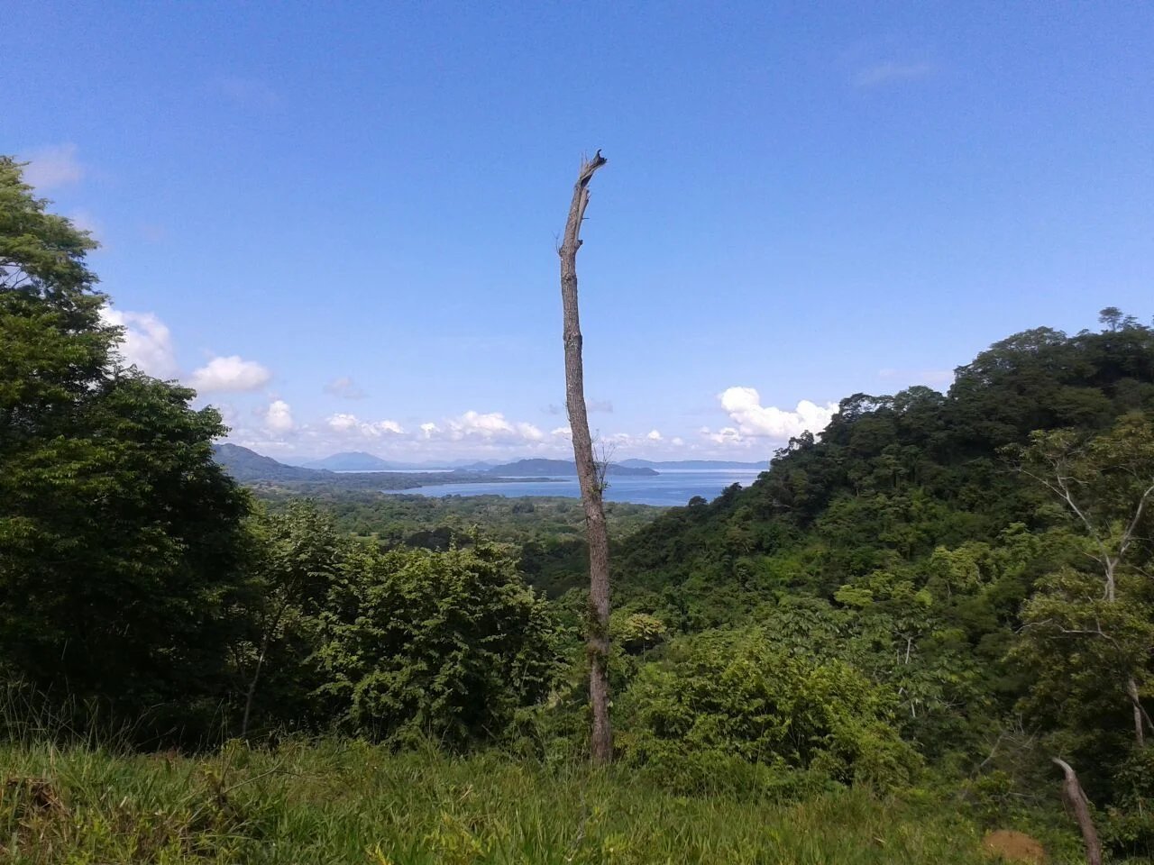 Exclusive Ocean View Development Parcel, Santa Teresa, Puntarenas