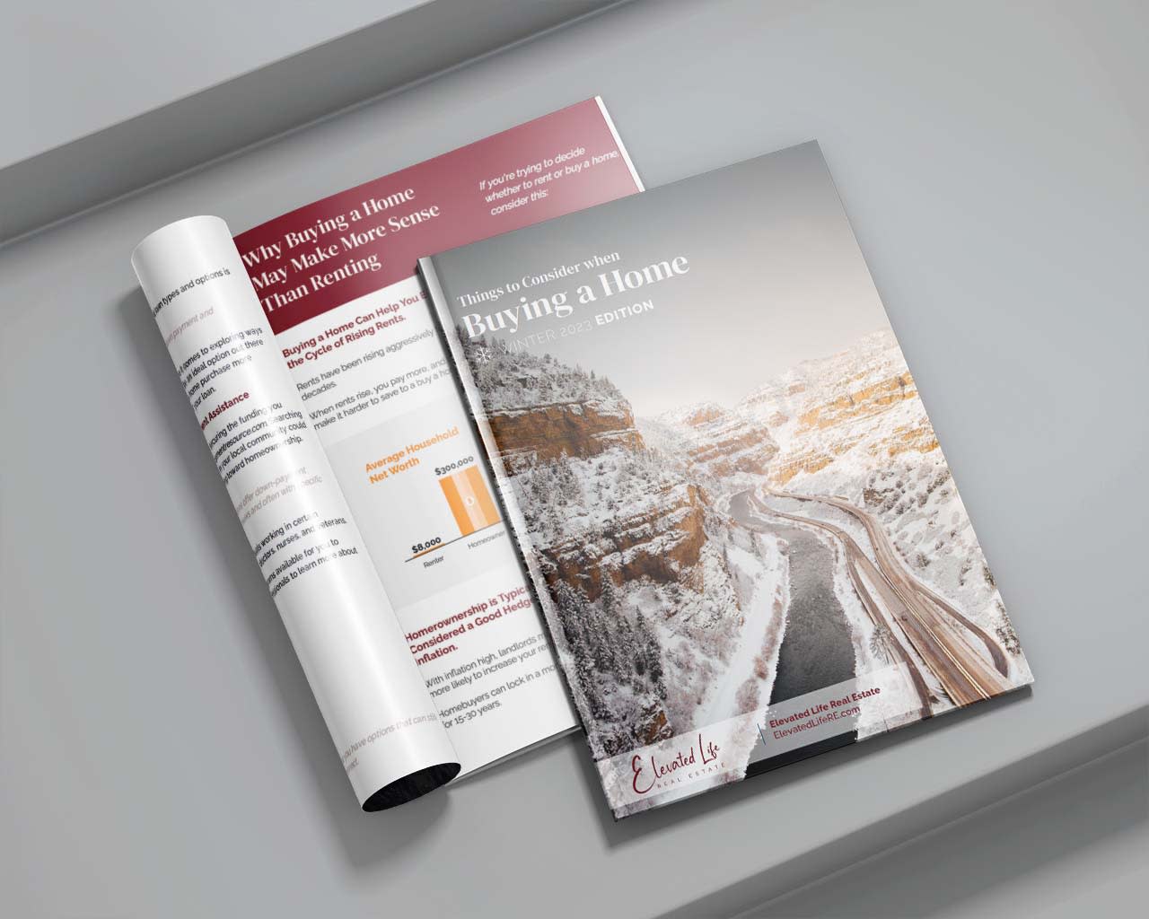 Exclusive Elevated Buyer's Guide