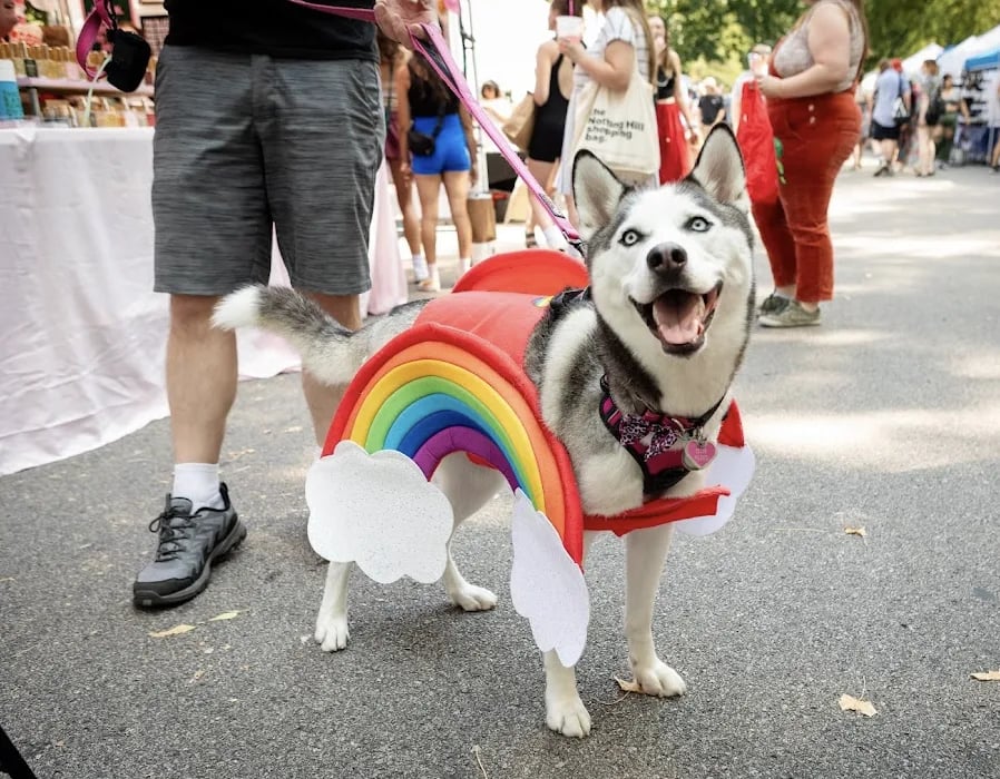 Tower Grove Pride returns this weekend