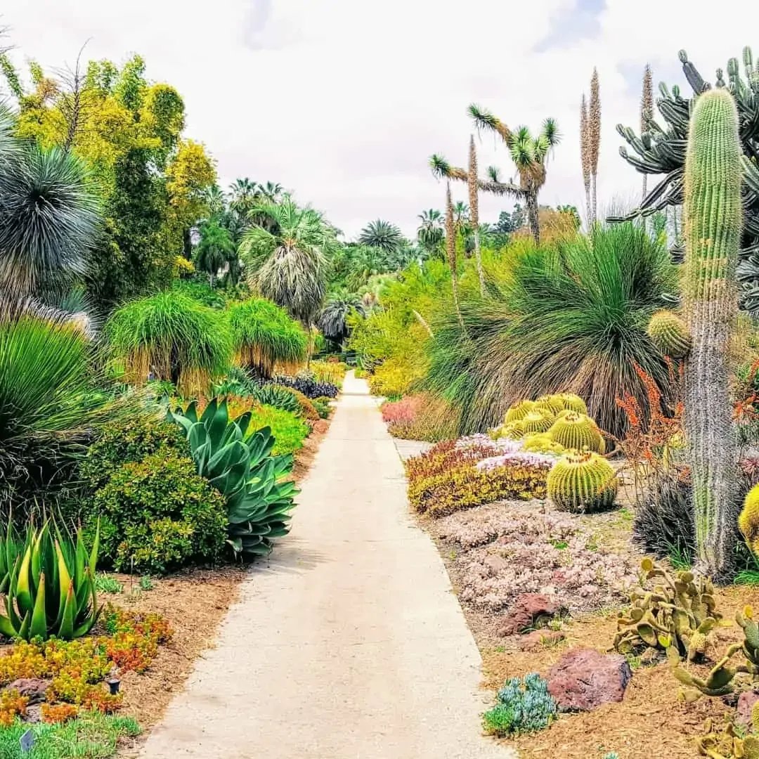 Drought-Friendly Landscape Ideas That Will Increase The Value Of Your Home