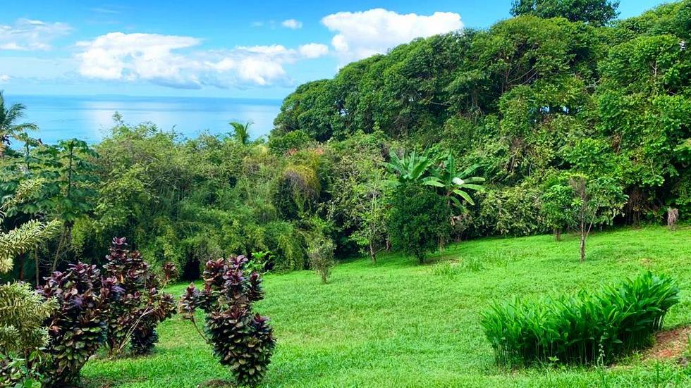 Ocean View Property with a Prime Location and Legal Water in Escaleras Dominical