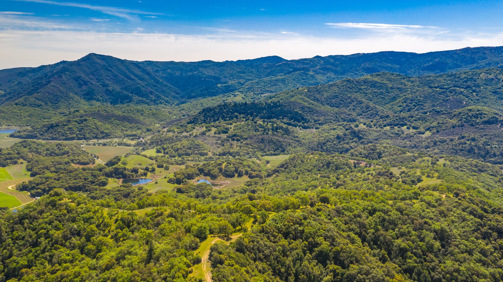 2800 Feliz Creek Rd.