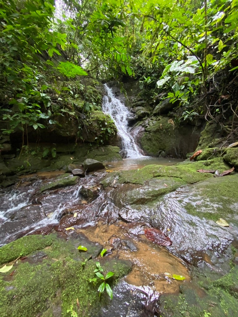 Ocean View Waterfall Land, Dominical, Puntarenas