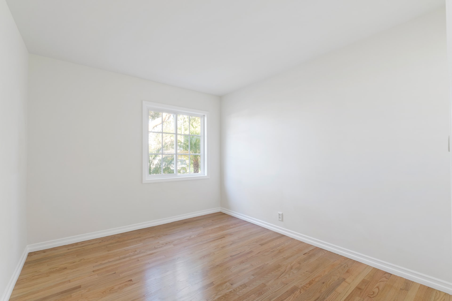 223 Lillian Place 