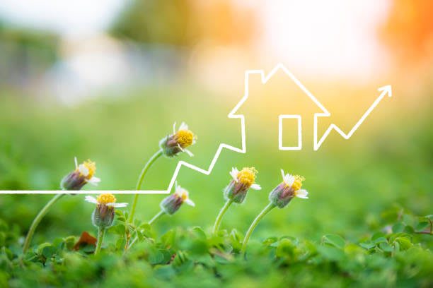Spring Into Action: Top Tips For Selling Your Home In The Spring Market