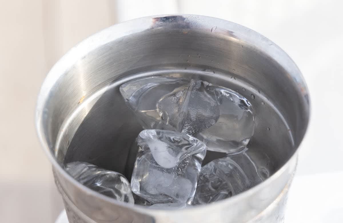 Dog Days Aren’t Over: Tips to Beat the Heat