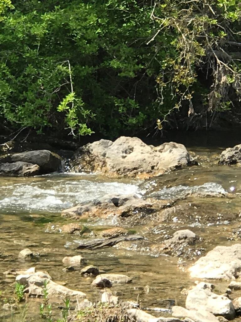 Granada Pedernales River Property