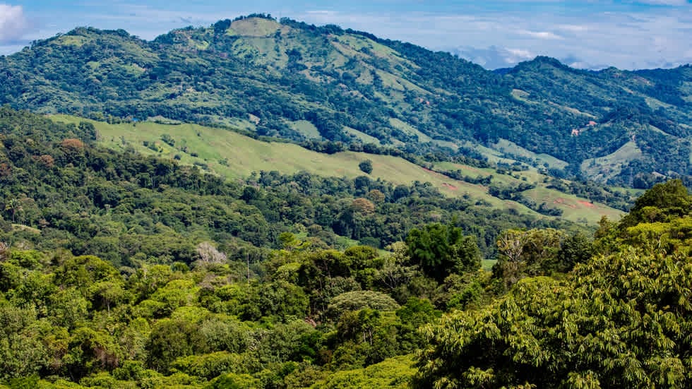 New Ocean View Community in Dominical Costa Rica