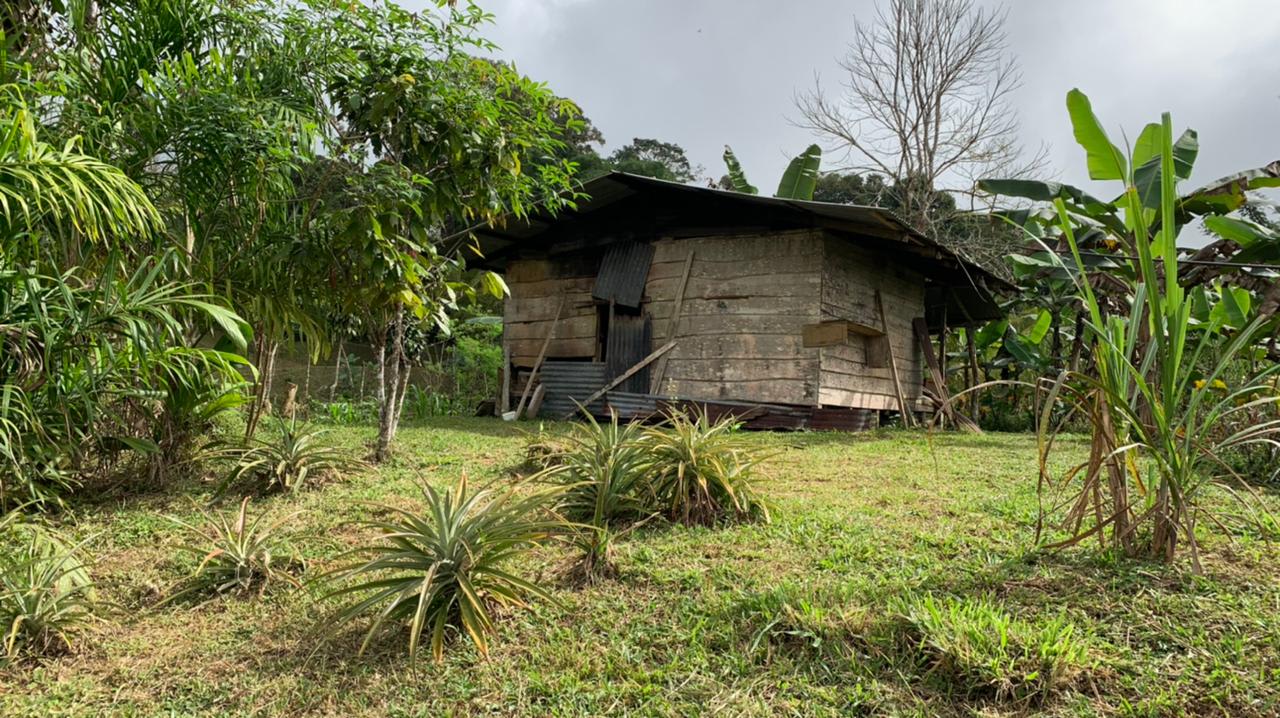 Waterfall View Farm On 80% Usable Land In Uvita