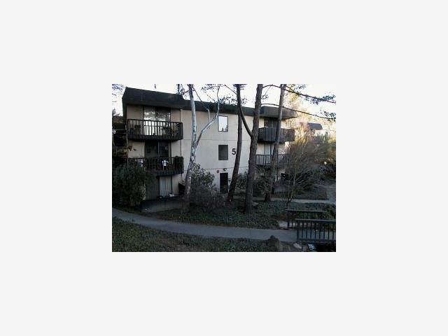 5143 Shelter Creek Ln San Bruno, CA, 94066