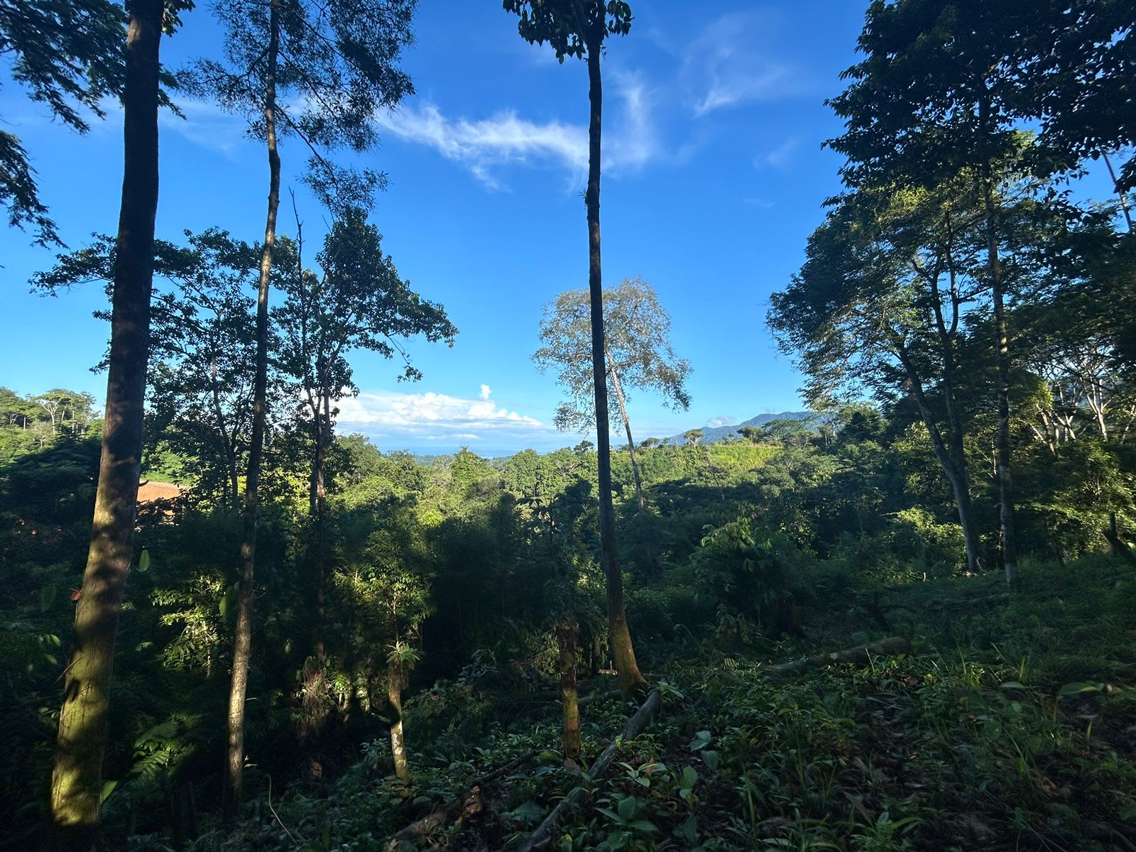 Marvelous Ocean View Parcel in Uvita.