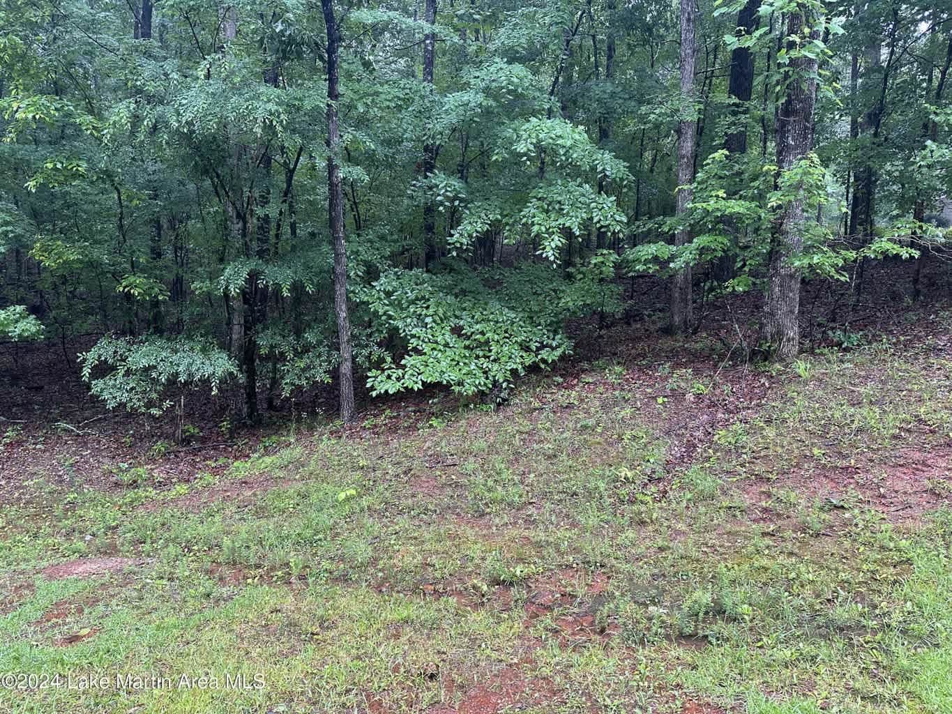 Lot 39 Big Horn Ln