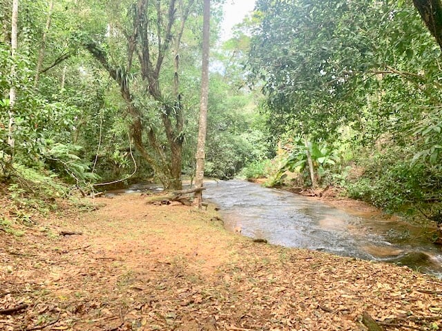 Waterfall River Luxury Home, Dominical, Puntarenas