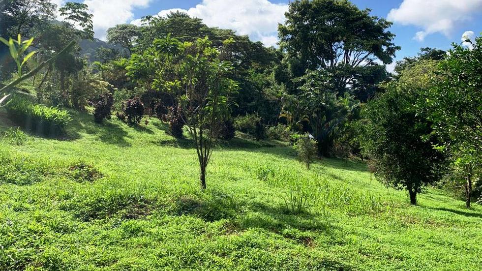 Ocean View Property with a Prime Location and Legal Water in Escaleras Dominical